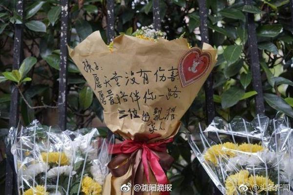 原神雷电国崩是什么梗