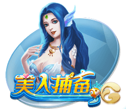 kyapp官方入口下载手机版